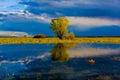 Landscape of the Biebrza marshes in Podlasie in Poland