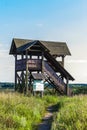 Biebrza National Park, Podlaskie Voivodeship, Poland Royalty Free Stock Photo