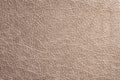 Biege rough texture of genuine leather. Natural expensive products