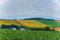 BIei agriculture area