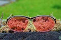 Pink sunglass`s lens with small plants.