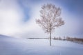 Biei, Japan winter on Panorama Road Royalty Free Stock Photo