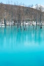 Biei Shirogane Blue Pond