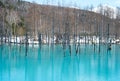 Biei Shirogane Blue Pond