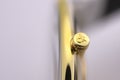 Biel, Switzerland 31.03.2020 - The closeup of CALVIN KLEIN woman watch stainless steel case gold PVD coating swiss