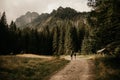 Bielovodska valley in High Tatras mountains, Slovakia. Slovakia landscape.