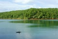 Bien Ho, ecotourism, pine forest, lake, Gia Lai, Vietnam Royalty Free Stock Photo