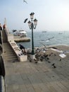 Biennial Venice 2017Woman feeding pigeons and seagulls next to a lantern in Venice Italy Europe