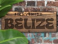 Bienvenido Belize Welcome Sign Wood Plaque on Brick Wall with Tropical Plant Leaves Royalty Free Stock Photo