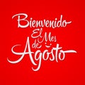 Bienvenido el Mes de Agosto, Welcome August spanish text, vector lettering message.