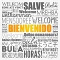 Bienvenido - Welcome in Spanish