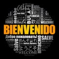 Bienvenido - Welcome in Spanish, word cloud