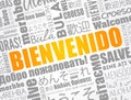 Bienvenido (Welcome in Spanish) word cloud