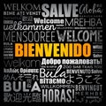 Bienvenido , Welcome in Spanish, word cloud