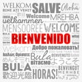 Bienvenido , Welcome in Spanish, word cloud