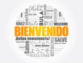 Bienvenido (Welcome in Spanish) word cloud concept