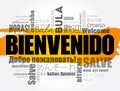 Bienvenido (Welcome in Spanish) word cloud concept