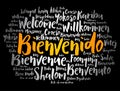 Bienvenido - Welcome in Spanish, word cloud