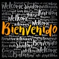 Bienvenido - Welcome in Spanish, word cloud
