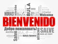 Bienvenido , Welcome in Spanish, word cloud in different languages