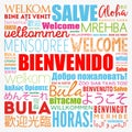 Bienvenido , Welcome in Spanish, word cloud