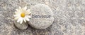 Bienvenue meaning welcome in french on a stone background with a daisy