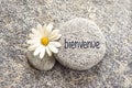 Bienvenue meaning welcome in french written on a stone with a daisy