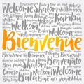 Bienvenue (Welcome in French) word cloud concept