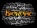 Bienvenue (Welcome in French) word cloud