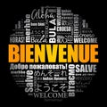 Bienvenue (Welcome in French) word cloud