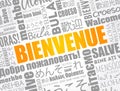 Bienvenue Welcome in French word cloud concept