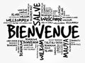 Bienvenue (Welcome in French) word cloud in different languages