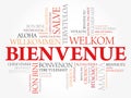 Bienvenue (Welcome in French