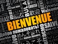Bienvenue (Welcome in French) word cloud