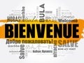 Bienvenue (Welcome in French) word cloud concept