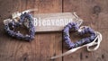 Bienvenue - Welcome to France Royalty Free Stock Photo