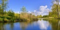 Biesbosch National Park, Noord-Brabant Province, Netherlands