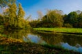 Biesbosch Royalty Free Stock Photo