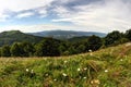 Bieszczady Mountains