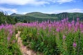 Bieszczady Mountains Royalty Free Stock Photo