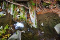 Bieszczady mountains forest Royalty Free Stock Photo