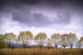 Bieszczady mountains forest Royalty Free Stock Photo