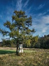 Bieszczady Mountains, Lonely Chapel Wild Nature of Poland