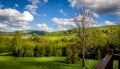 Bieszczady Mountains, Poland Royalty Free Stock Photo