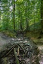 Bieszczady Mountains, The wildest region in the Poland, Poland Royalty Free Stock Photo