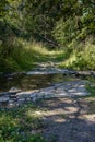 Bieszczady Mountains, The wildest region in the Poland, Poland Royalty Free Stock Photo