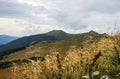 Bieszczady National Park in Poland. Royalty Free Stock Photo