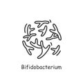 Bifidobacterium bifidum icon.Good probiotic for human health sign. Royalty Free Stock Photo