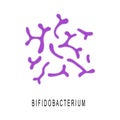 Bifidobacterium colony. Probiotics, beneficial bacterias for human health and beauty. Good microorganisms under