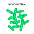 Bifidobacterium. Infographics. Vector illustration on isolated background. Royalty Free Stock Photo